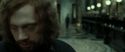 RdM2-Potterish_01575.jpg