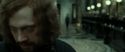 RdM2-Potterish_01576.jpg