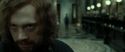RdM2-Potterish_01580.jpg