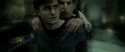 RdM2-Potterish_01587.jpg