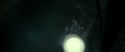 RdM2-Potterish_01710.jpg