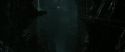 RdM2-Potterish_01777.jpg