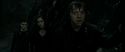 RdM2-Potterish_01889.jpg