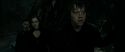 RdM2-Potterish_01890.jpg