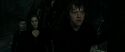 RdM2-Potterish_01891.jpg
