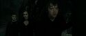 RdM2-Potterish_01892.jpg