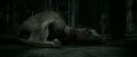 RdM2-Potterish_01894.jpg