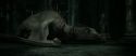 RdM2-Potterish_01895.jpg