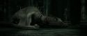 RdM2-Potterish_01896.jpg