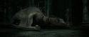 RdM2-Potterish_01899.jpg
