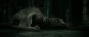 RdM2-Potterish_01900.jpg