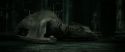 RdM2-Potterish_01901.jpg