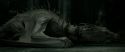RdM2-Potterish_01911.jpg