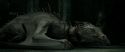 RdM2-Potterish_01912.jpg