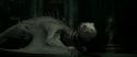 RdM2-Potterish_01914.jpg