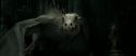 RdM2-Potterish_01916.jpg