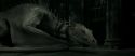 RdM2-Potterish_01953.jpg