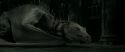 RdM2-Potterish_01954.jpg