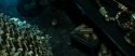 RdM2-Potterish_02093.jpg