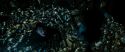 RdM2-Potterish_02165.jpg