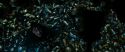 RdM2-Potterish_02168.jpg