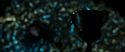 RdM2-Potterish_02170.jpg