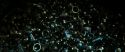 RdM2-Potterish_02191.jpg