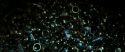 RdM2-Potterish_02192.jpg