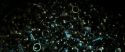 RdM2-Potterish_02193.jpg