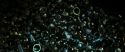 RdM2-Potterish_02194.jpg