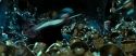 RdM2-Potterish_02217.jpg