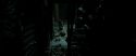 RdM2-Potterish_02262.jpg