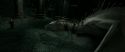 RdM2-Potterish_02296.jpg