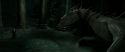 RdM2-Potterish_02300.jpg