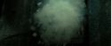 RdM2-Potterish_02336.jpg