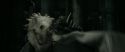 RdM2-Potterish_02374.jpg