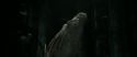 RdM2-Potterish_02379.jpg