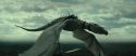 RdM2-Potterish_02544.jpg