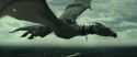 RdM2-Potterish_02545.jpg
