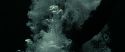 RdM2-Potterish_02628.jpg