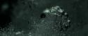 RdM2-Potterish_02631.jpg