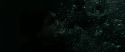 RdM2-Potterish_02641.jpg