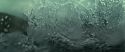 RdM2-Potterish_02648.jpg