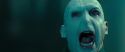 RdM2-Potterish_02663.jpg