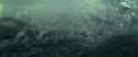RdM2-Potterish_02665.jpg