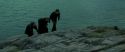 RdM2-Potterish_02721.jpg