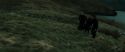 RdM2-Potterish_02761.jpg