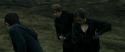 RdM2-Potterish_02766.jpg