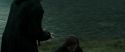 RdM2-Potterish_02783.jpg