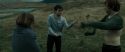 RdM2-Potterish_02864.jpg